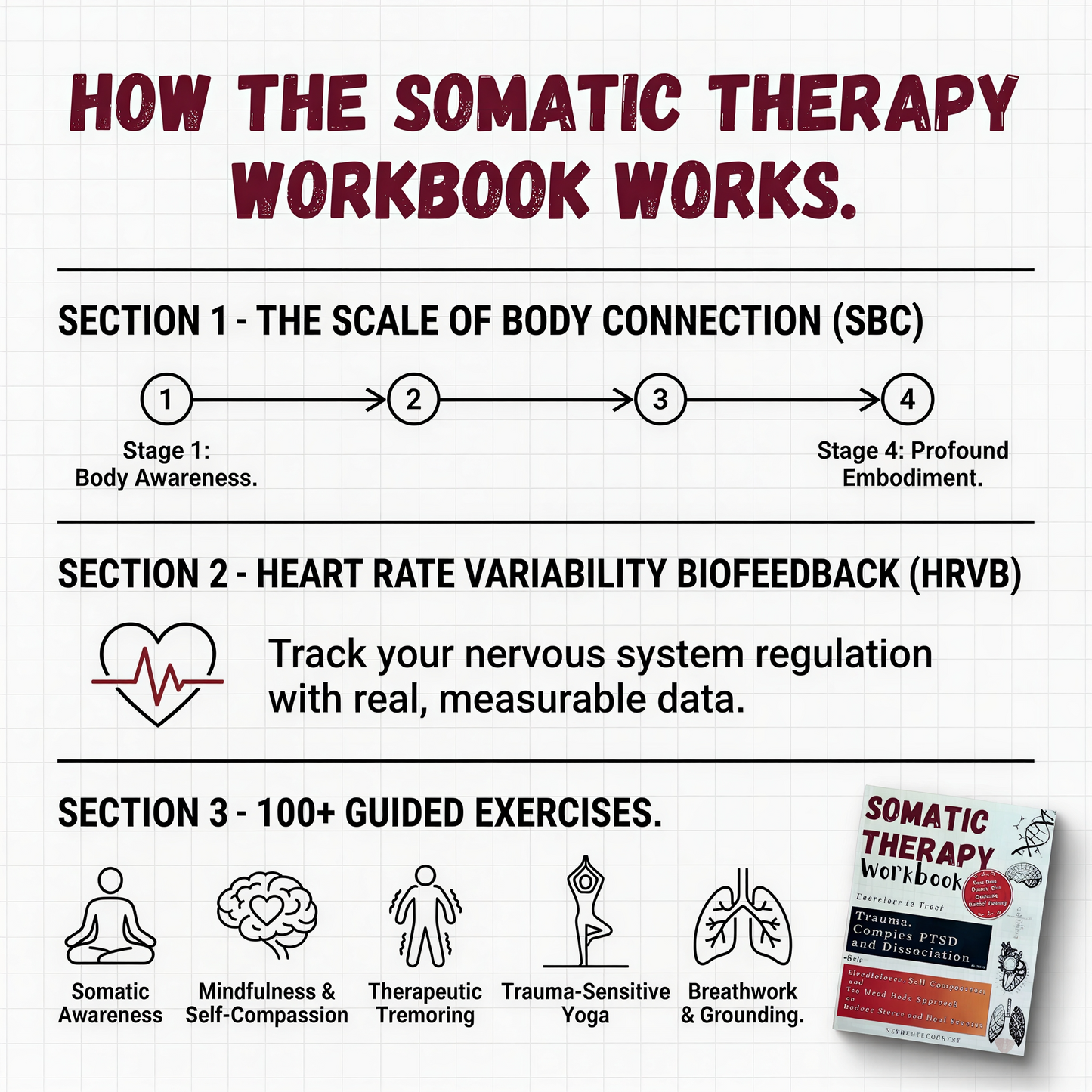 Somatic Therapy Workbook: Exercises to Treat Trauma, Complex PTSD and Dissociation
